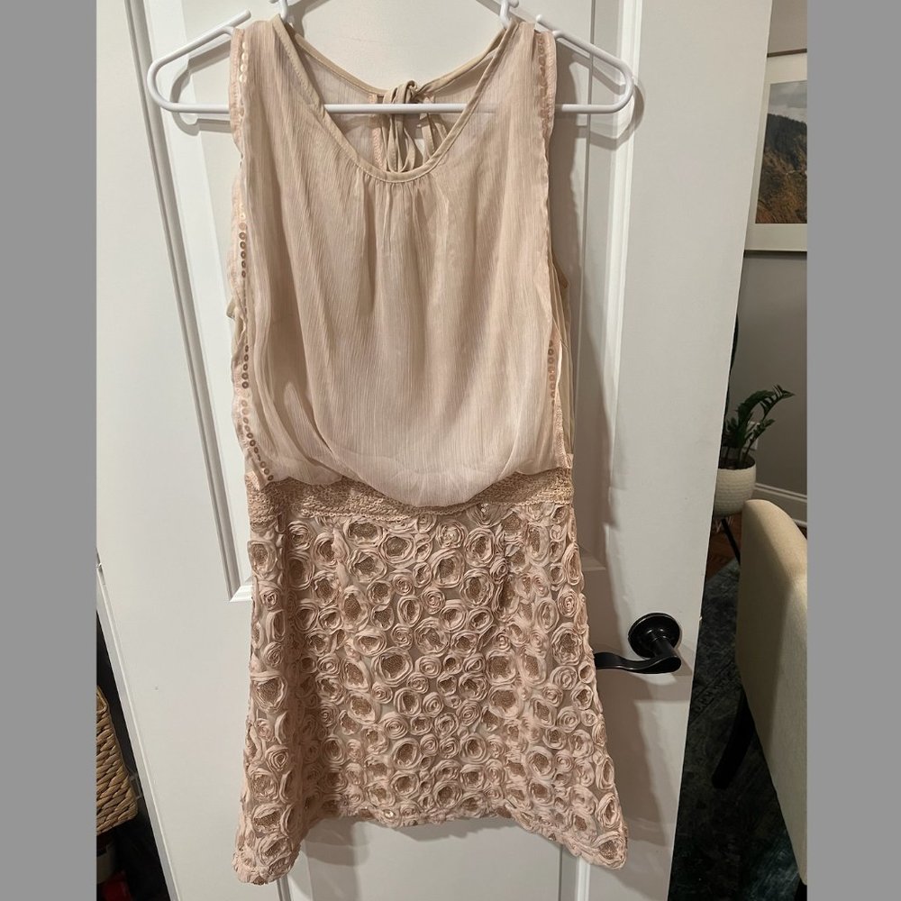 Simply Natural Blush Beige Rose Petal Sequined Dress
